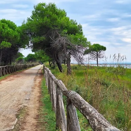 Апартаменты Stunning Sea View Бибионе